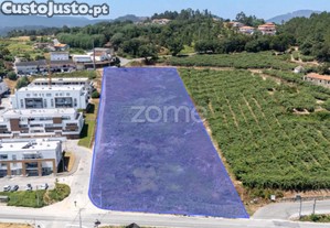 Terreno Com 10.830M² Em Sobrado - Localização...