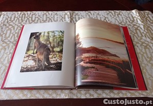 imagem_7