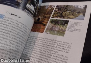 imagem_3
