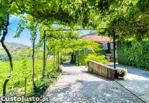 Quinta T4 Com Piscina, Vinha E Capela - Gondar,...