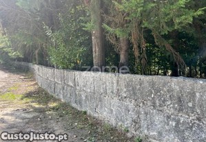 Terreno Com 10 000M2 Em, Sanfins, Paços De...