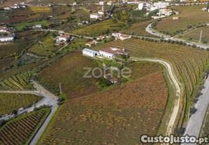 Quinta Na Régua Com 4.5 Hect De Vinha, Com Casa...