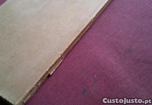 imagem_7