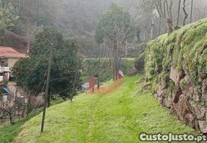 imagem_7