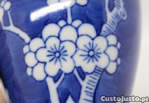 imagem_11
