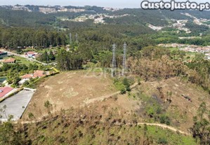Terreno Florestal Com Capacidade Construtiva -...
