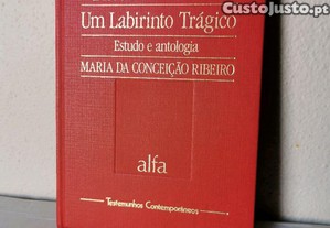 imagem_7
