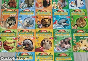 imagem_3