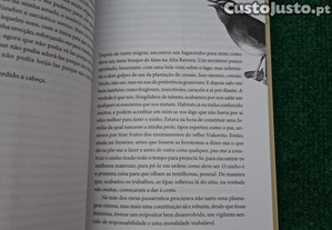 imagem_5