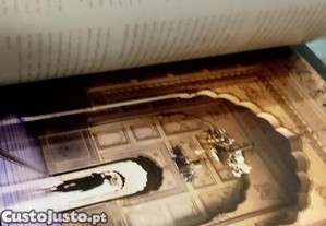 imagem_3