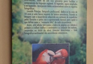imagem_4