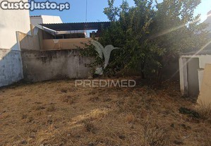 imagem_9