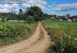 Terreno Rústico Com 5.000 M2 Em Fradelos V.N....