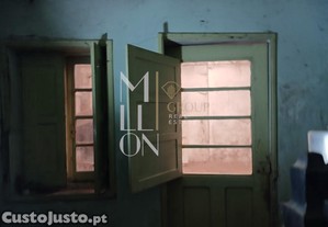 imagem_21