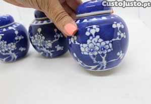 imagem_4