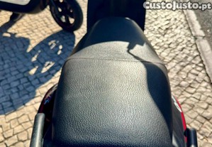 imagem_19