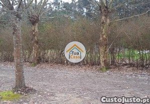 imagem_18