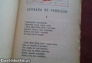 imagem_7