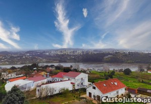 imagem_7