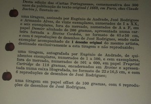 imagem_8