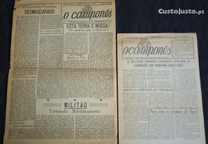 Antigo Jornal Jornais O Camponês Clandestino 