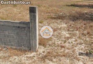 imagem_7