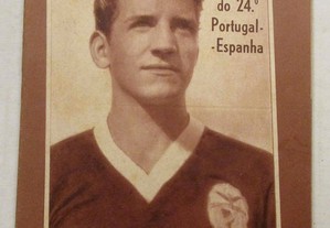 Colecção Ídolos do Desporto, Nº 21 - PALMEIRO, O herói do 24.º Portugal- Espanha