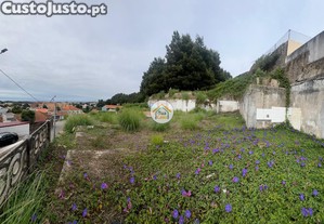 imagem_26