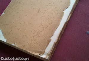 imagem_7