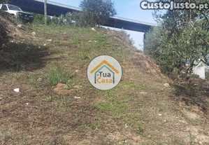 imagem_31