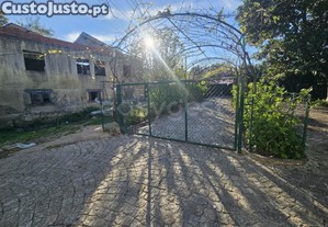 imagem_29