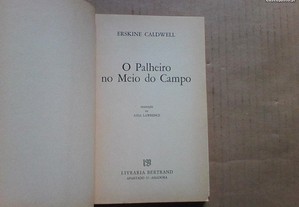imagem_4