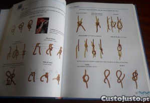 imagem_3