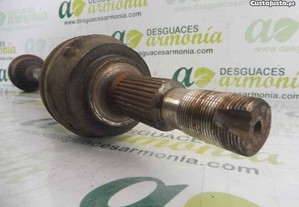 imagem_3