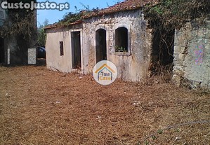 imagem_13