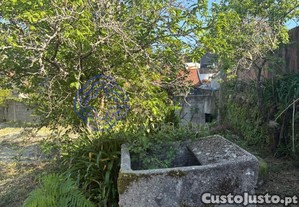 imagem_11
