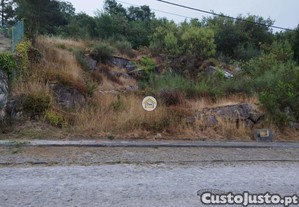 imagem_13