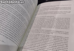 imagem_11