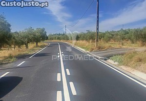 imagem_8