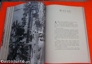 imagem_6