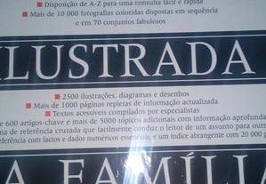 imagem_6