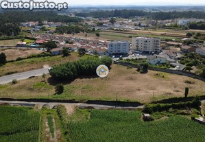 imagem_12