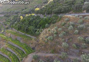 Terreno Rústico, S. Cristovão Do Douro