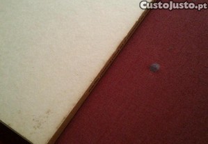 imagem_8