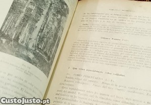 imagem_10