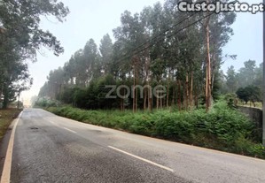 Terreno Rústico Em Nogueira Da Regedoura: Alto...