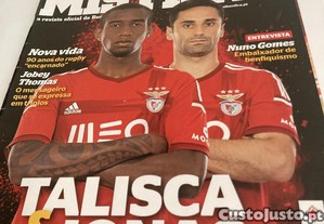 imagem_1