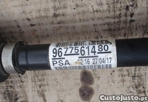 imagem_4