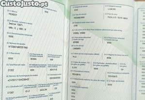 imagem_12