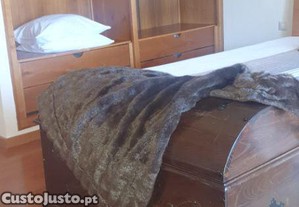 imagem_20